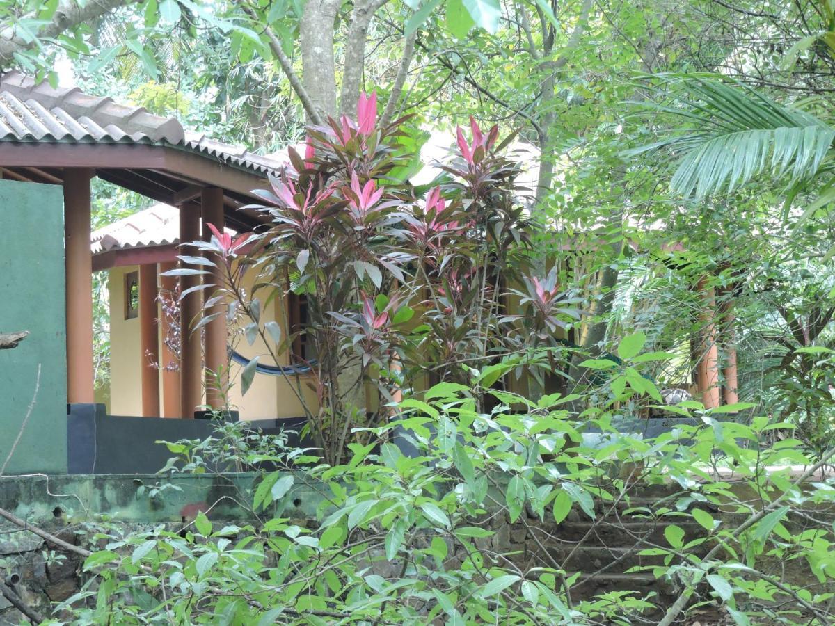 טיסמהרמה Richards Cabanas מראה חיצוני תמונה